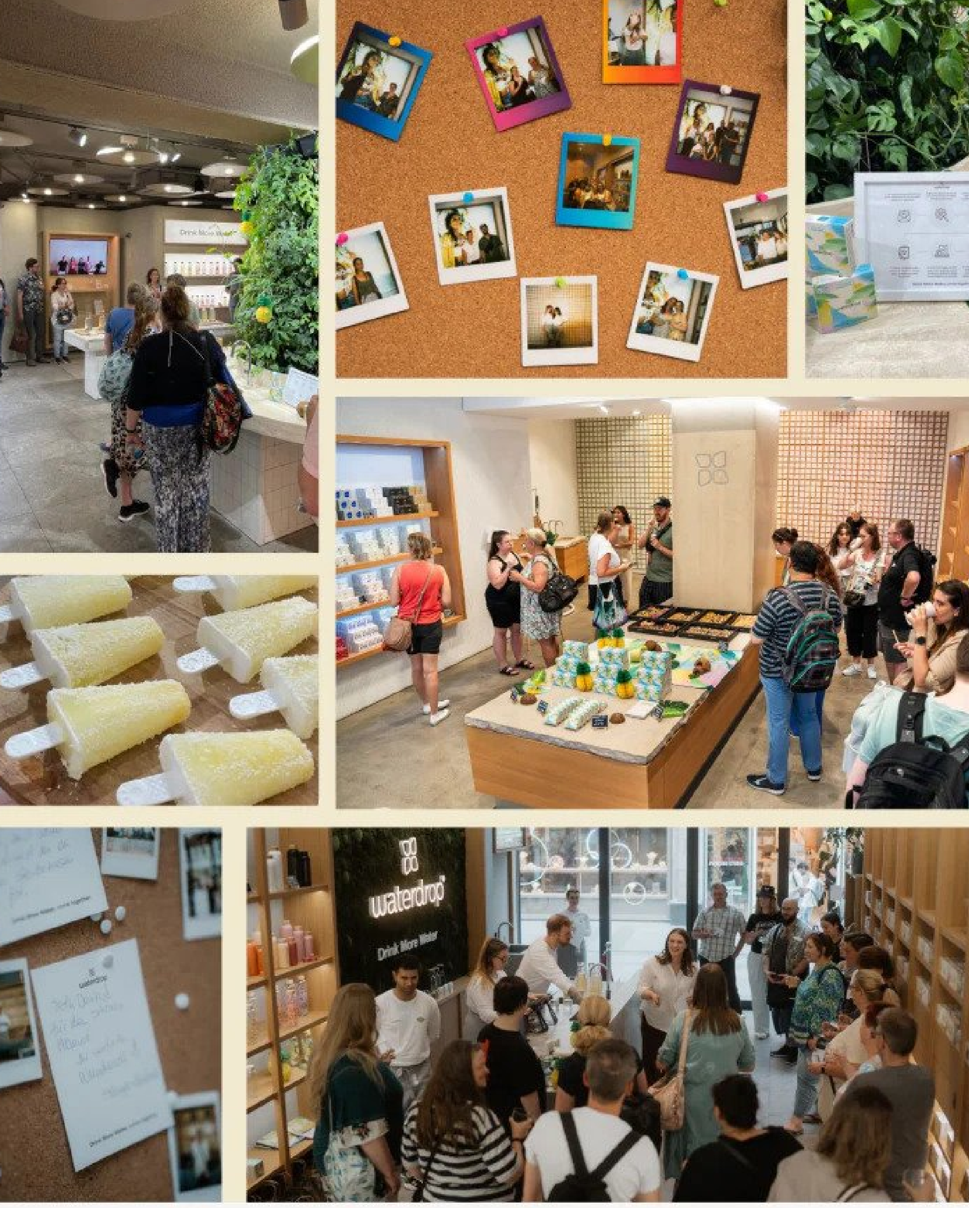 KOKO PIÑA: a waterdrop® közösség íze