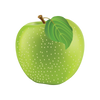 EVERGREEN FUSION