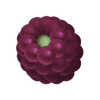 BLACKBERRY