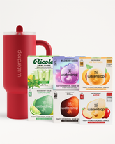 Karácsonyi Bestseller Explorer Készlet