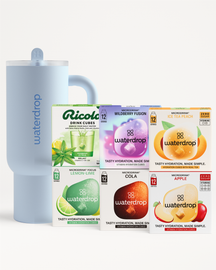 Karácsonyi Bestseller Explorer Készlet